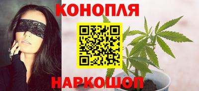 стаф Кунгур