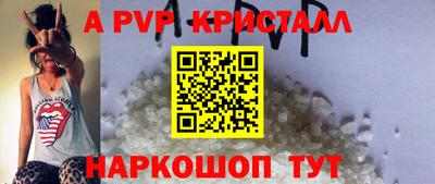 стаф Кунгур