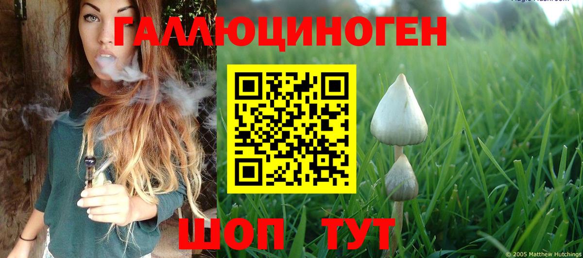 где продают наркотики  Галлюциногенные грибы Magic Shrooms  Вход с VPN  Камышин 